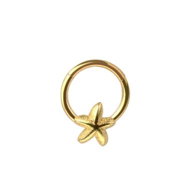 Imagem de Pierced Owl Anel clicker de segmento articulado estrela do mar de aço inoxidável 316L 16GA, 16ga, Metal, Sem Pedra Preciosa