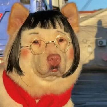 Imagem de Peruca curta para cosplay de animais de estimação, cabelo sintético marrom, acessório de fantasia para cães, gatos, 2 estilos