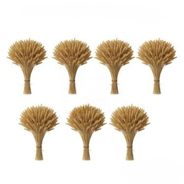 Imagem de 400 Hastes De Trigo Seco Para Decoração Festa Junina Arraiá Enfeites Artigos Mesa Arranjo Elegante(07 Maços (280 Hastes))