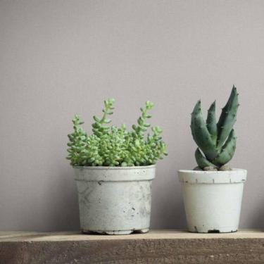 Imagem de Papel De Parede Up To Date Textura Cinza 34838