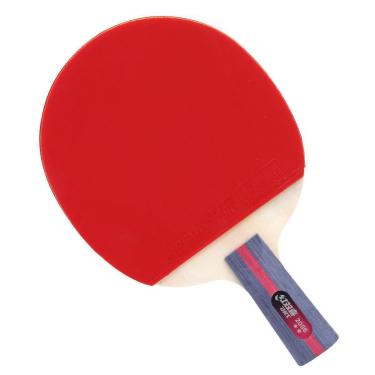 Imagem de Raquete de Tênis de Mesa DHS Classineta H2006 ITTF Approved 2 Estrelas-Unissex