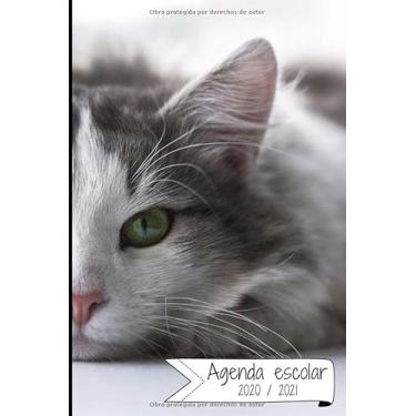 Imagem de AGENDA ESCOLAR 2020-2021: Agenda semana vista (Septiembre 2020 / Agosto 2021) | Planificador semanal (Español) | Calendario | Colegio, secundaria, estudiante | Tapa blanda Gatito
