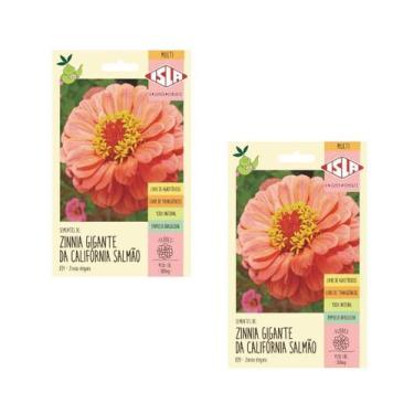 Imagem de 2X Semente Zinnia Dahliaflora Salmão Gigante Califórnia ISLA