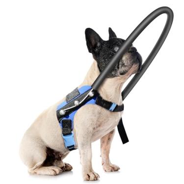 Imagem de LetPetRun Peitoral para cães cegos, auréola guia com colete protetor – arnês de suporte ajustável para acalmar e guiar animais de estimação cegos, fixação de coleira para construção de confiança para