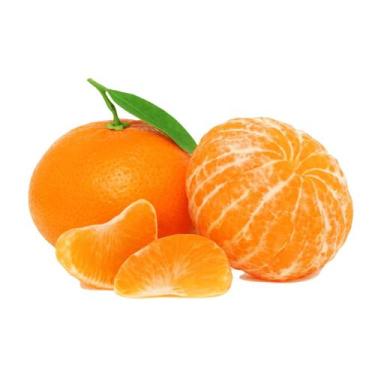 Imagem de Muda Frutífera de Tangerina Açúcar Enxertada - AgroJardim