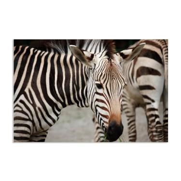 Imagem de SDYJ6GSW Imagens de animais preto e branco para decoração de parede savana africana zebra imagem de animal impressão de imagem de cavalo em tela pintura de parede zebra decoração de parede para sala