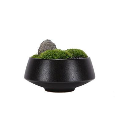 Imagem de Árvore artificial, planta artificial, musgo, verde, decoração de interiores, planta falsa, vaso de flores de cerâmica, varanda, sala de chá, decoração de bonsai, árvore falsa