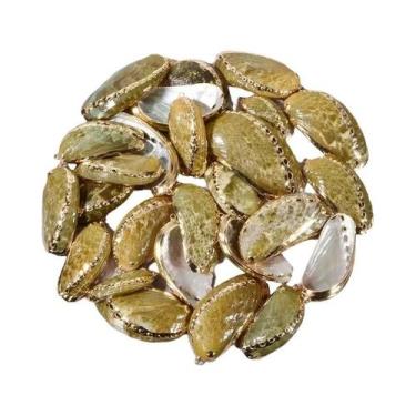 Imagem de Pingentes Espirais De Conchas Perfuradas Coloridas 5 Peças Suprimentos