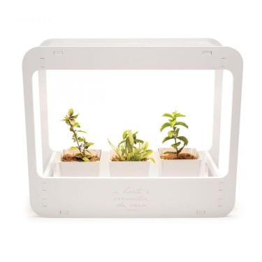 Imagem de Plantario Indoor Com Led Horta Da Casa