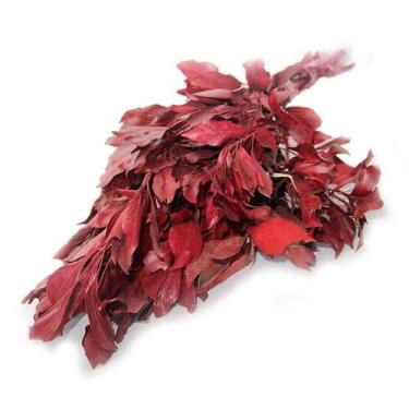 Imagem de Carne De Vaca Flor Desidratada Buque Flores Secas - Pense Flores, Verm