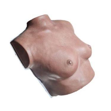 Imagem de Simulador de Mamas Ultra Realístico Para Treinamento de Auto Exame - C