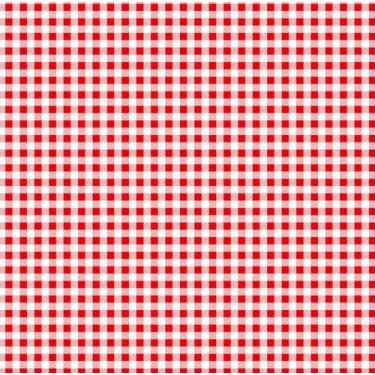 Imagem de Sintético Doll Estampado - Xadrez Vermelho 50 cm x 1,36mt - PX