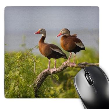 Imagem de Mouse pad 3D Rose "Blackbellied Whistling Duck South Texas Us44 Ldi0755Larry Ditto" acabamento fosco - 20,32 x 20,32 cm - mp_146880_1