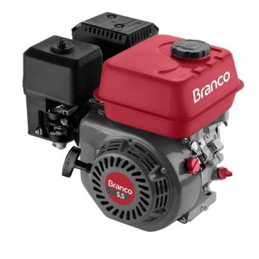 Imagem de Motor branco gasolina b4t 5,5cv s/alerta