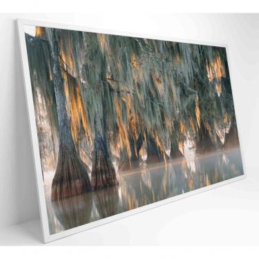 Imagem de Quadro árvores De Ciprestes No Lago Martin Medidas 60x40 Cm Tipo De Impressão Adesivo Fotográfico