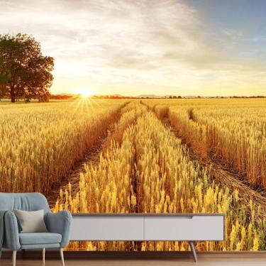 Imagem de Papel de Parede Campo Paisagem Natureza Sala Painel - 137pcp - Allodi