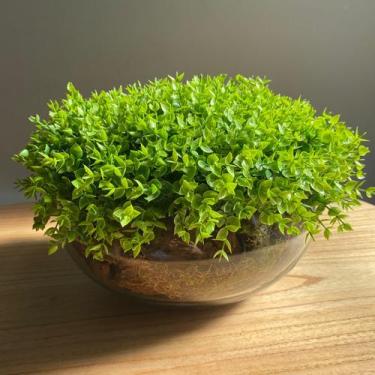 Imagem de Arranjo Grande Centro De Mesa Vaso Incolor Com Verdinho - Decore Fácil