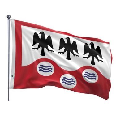 Imagem de Bandeira do Município de Garanhuns Uma Face Estampada Tamanho 90x128cm