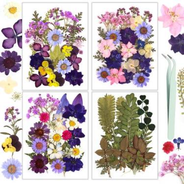 Imagem de Kit de artesanato prensado para resinas de flores secas violeta, 100 u