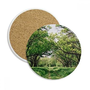 Imagem de Caneca verde floresta, natureza, ciência, cenário, copo, copo, copo, proteção de mesa, pedra absorvente