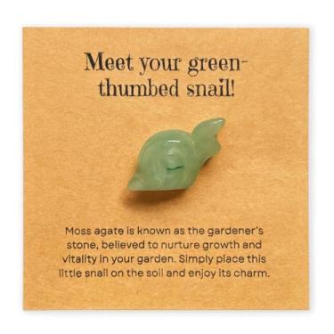 Imagem de HNSBXQ Mini Moss Agate Cactus Snail–Funny Plant Lover Birthday Gifts for Women/Sister/Mom,Gardening Gardener Succulent Lovers Gift Ideas,Crazy Plants Lady Unique Cute Stocking Stuffers Garden Decor