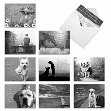 Imagem de The Best Card Company - 10 cartões de notas inspiradoras em branco (10 x 13 cm) - Comentários caninos M1623BN