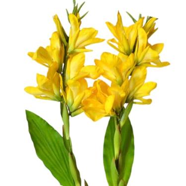 Imagem de Lírio de cana tropical artificial, seda + material de arame de ferro, 108 cm de comprimento, pacote com 2, ideal para decoração doméstica e comercial, simbolizando beleza e felicidade (amarelo)
