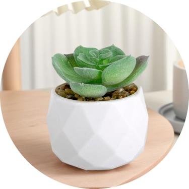 Imagem de Plantas suculentas artificiais falsas para mesa, suculentas falsas realistas em vasos de plástico, mini decoração de suculentas coloridas para quarto, banheiro, escritório, prateleira (verde E)