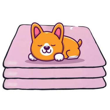 Imagem de 3 Tapetinhos Macios para Dormir Pet Antipulgas Antipulgas 200 Lavagens