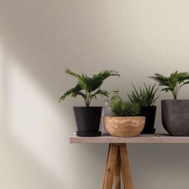 Imagem de Papel de Parede Up To Date Textura Cinza 34846