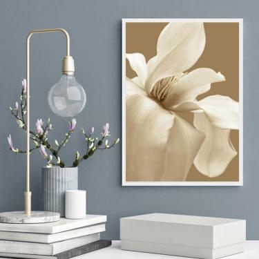 Imagem de Quadro Decorativo Flor Branca Fundo Marrom 45X34Cm - Vidro