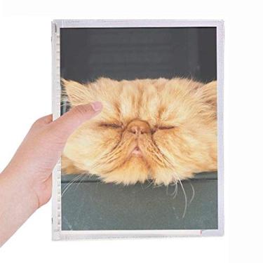 Imagem de Caderno divertido animal com desenho de gato amarelo com folhas soltas e diário recarregável