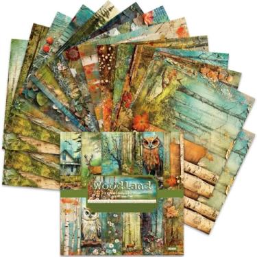 Imagem de BLEDS Papel Para Scrapbook 6X6 Polegadas, 24 Folhas, Sem Ácido, Vintage, 160 G/M², Com 12 Designs Diferentes, Impressão De Coruja Da Floresta Em Um Lado, Fazer Cartões, Diário Sucata, Plano Fundo De