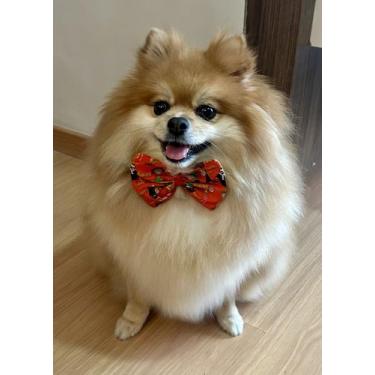 Imagem de Gravata Pet para Banho e Tosa Borboleta Kit com 30 unidades Atacado - 