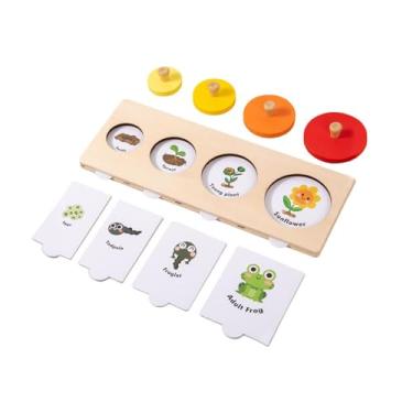 Imagem de Esquirla Ciclo de vida do brinquedo quebra-cabeça, quebra-cabeça, brinquedos científicos para bebês em idade pré-escolar, jogo de correspondência, brinquedo