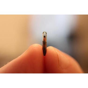 Imagem de MyImplant Chip de Implante NFC RFID 13.56MHz Com Pomada - Project Comp