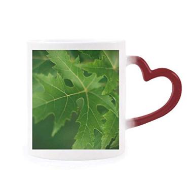 Imagem de Caneca Fresh Leaf com imagem de planta sensível ao calor, caneca vermelha que muda de cor