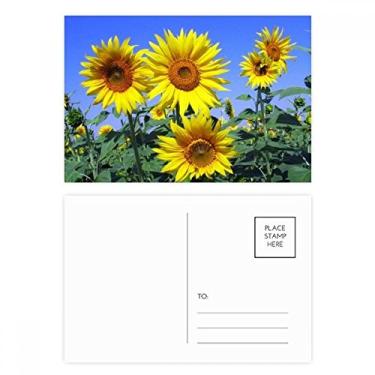 Imagem de Conjunto de cartões postais de aniversário com estampa de flores e girassóis e céus azuis