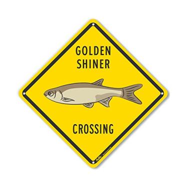 Imagem de PetKa Signs and Graphics Placa de alumínio PKAC-1059-NA_10x10 "Golden Shiner Crossing", 25,4 cm x 25,4 cm, amarela