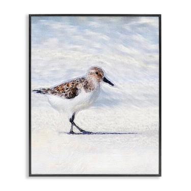 Imagem de Stupell Industries Blue Coast Sandpiper Painting Black Framed Giclee Art Design por Denise Brown, 40,6 x 50,8 cm