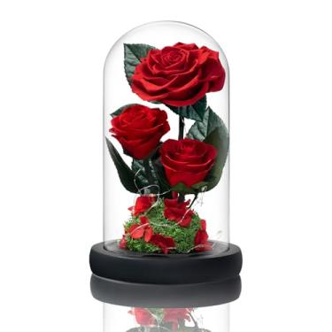 Imagem de Vryblos 3 flores preservadas em cúpula de vidro com luz para decoração de A Bela e a Fera Real Rosas Eternas para mulheres, mãe, aniversário, rosas vermelhas para sempre, para entrega, para esposa