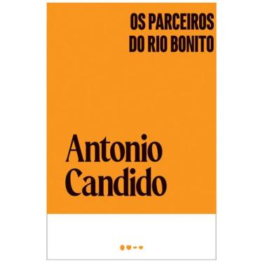 Imagem de Livro - Os parceiros do Rio Bonito