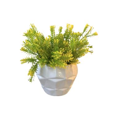 Imagem de Vaso Em Cerâmica Com Planta Branco Strasbourg Elements 12,5x9,5cm