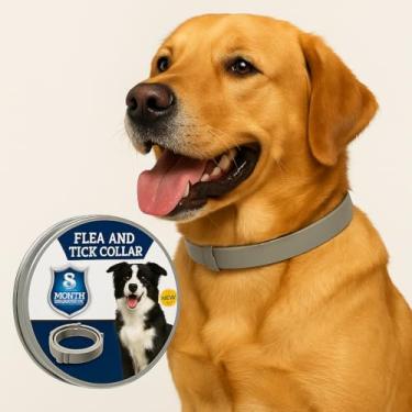 Imagem de Coleira Antipulgas Natural para Cães 63cm Cinza – Proteção de até 8 Meses + Lata de Alumínio – Óleos Essenciais - Coleira Antipulgas e Carrapatos para Cachorro