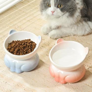 Imagem de Tigelas de cerâmica elevada para gatos, tigela de comida de gato elevada a 15°, pratos anti-vômito para gatos, antivômito e protege a coluna do animal de estimação, alimentador para gatos internos e