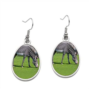 Imagem de Brinco de zebra - Brincos com pingente para meninas - Presente de festa de aniversário dos namorados
