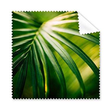 Imagem de Pano de limpeza natural de folhas verdes para limpeza de plantas, 5 peças