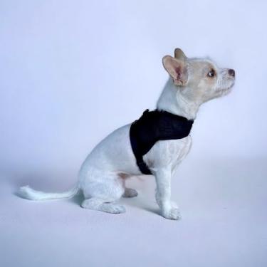 Imagem de WAY PET Peitoral Space Feminino Femea Masculino Macho Dog Pet para Cachorro (Extra Grande, NEUTRO)
