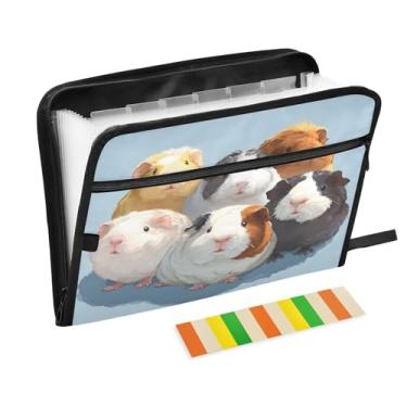 Imagem de CEBUGI Pasta expansível com 13 bolsos, organizador de arquivos sanfonado à prova d'água com etiquetas tamanho A4, organizador de documentos de papel para escola, material de escritório