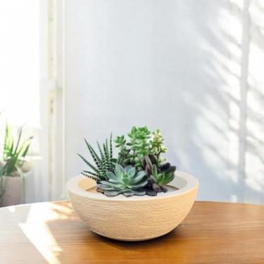 Imagem de Vaso Decoratico Planta Flor Bacia Texturizada 13x34 Jardim Varanda Polietileno (Bege)